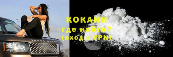 дурь Горняк