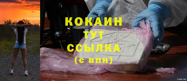 дурь Горняк