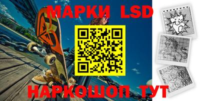 крисы Гатчина