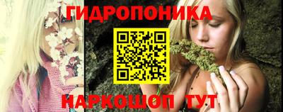дмт Гатчина