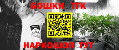 крисы Гатчина