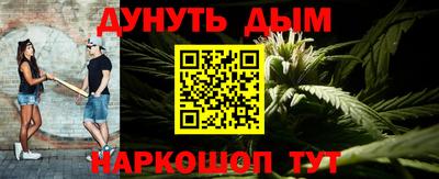 дмт Гатчина