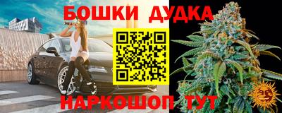 крисы Гатчина