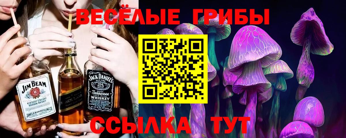 Псилоцибиновые грибы мухоморы Железноводск
