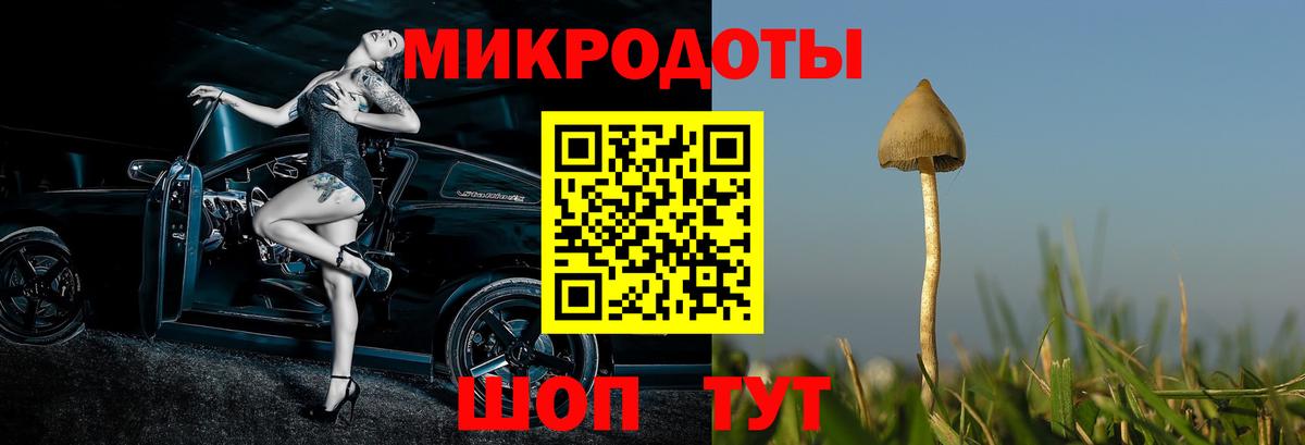 Псилоцибиновые грибы Magic Shrooms  Железноводск 